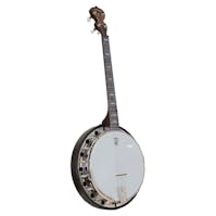 Deering Goodtime Artisan Special 19 Fret Tenor Banjo