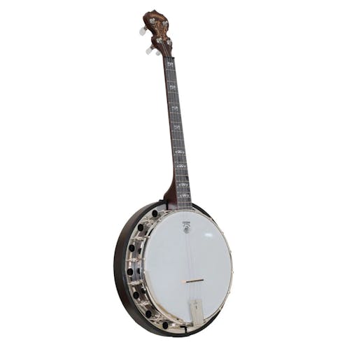 Deering Goodtime Artisan Special 19 Fret Tenor Banjo