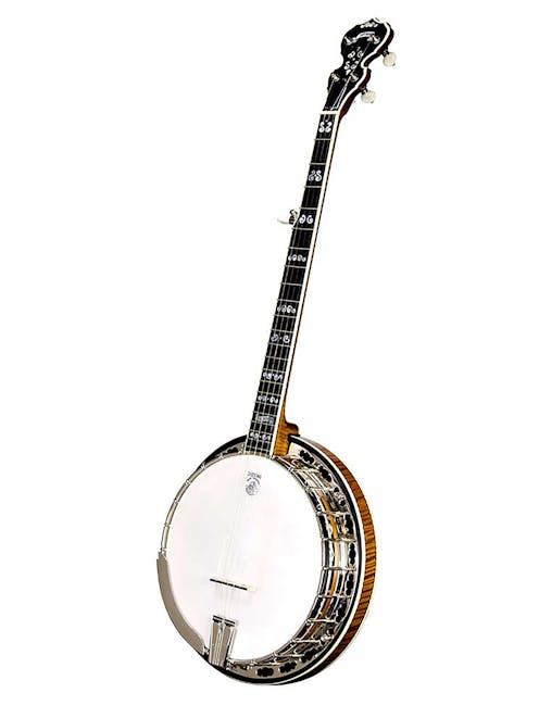 Deering The Calico 5 String Banjo