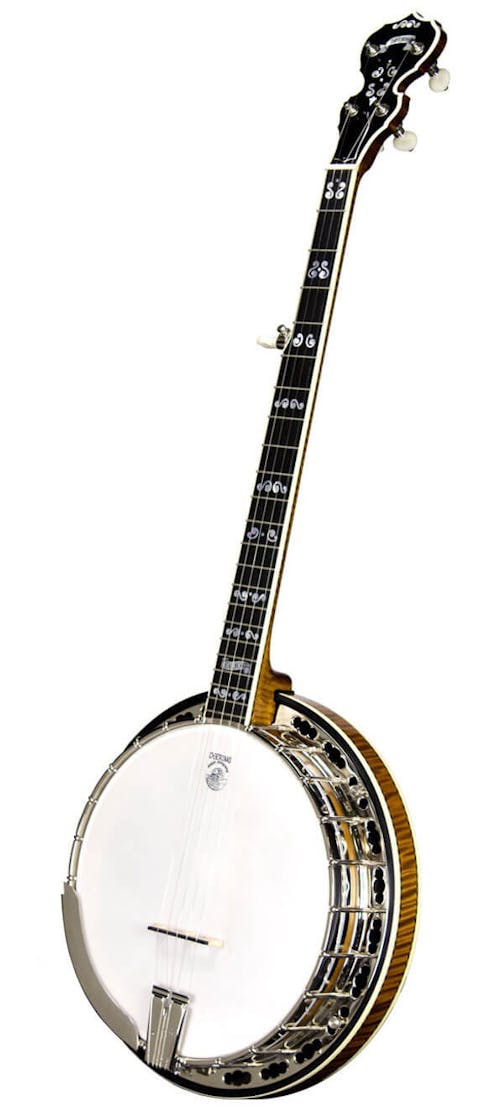 The Calico