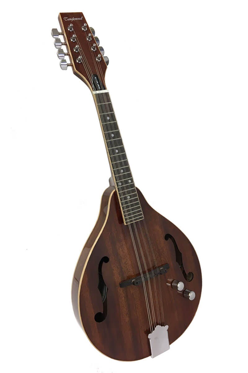 tanglewood electro acoustic mandolin