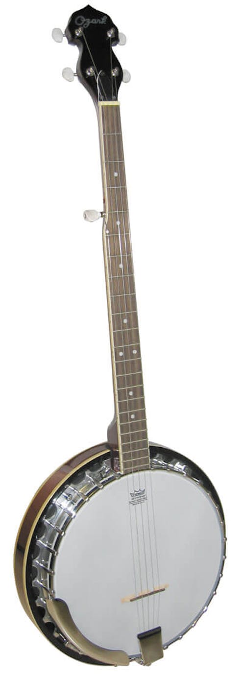 Ozark 2104G With Ozark Gig Bag