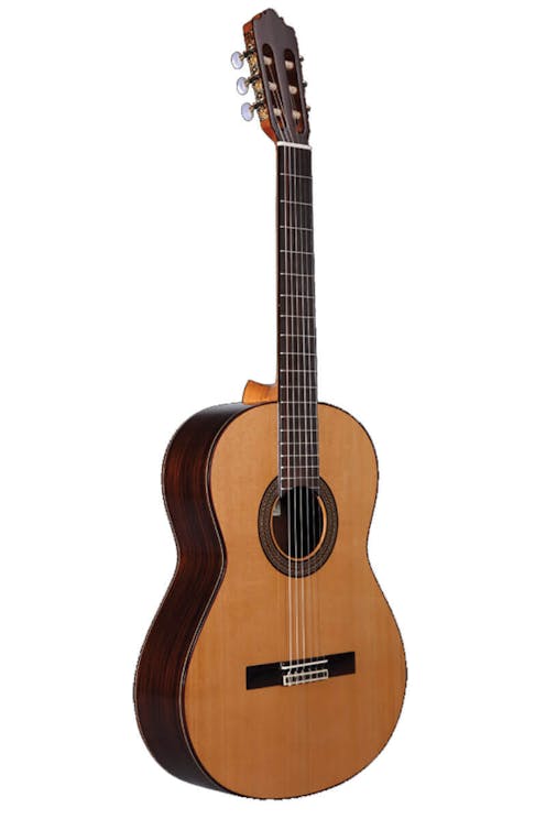 Altamira N300