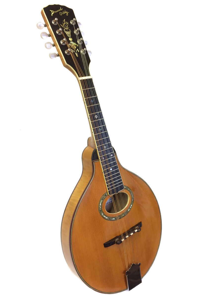 David Oddy Carved Top Mandolin with Hard Case
