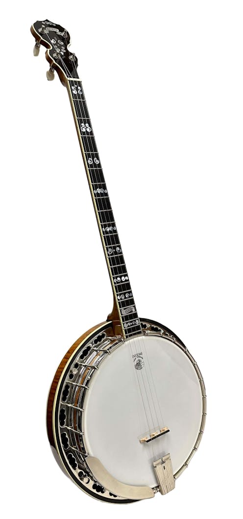 Deering The Calico Plectrum Banjo - Commission Sale