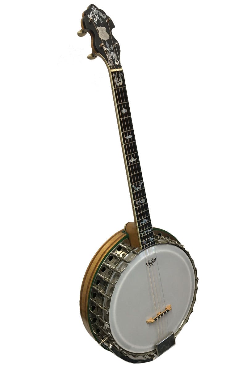 Paragon banjo store for sale