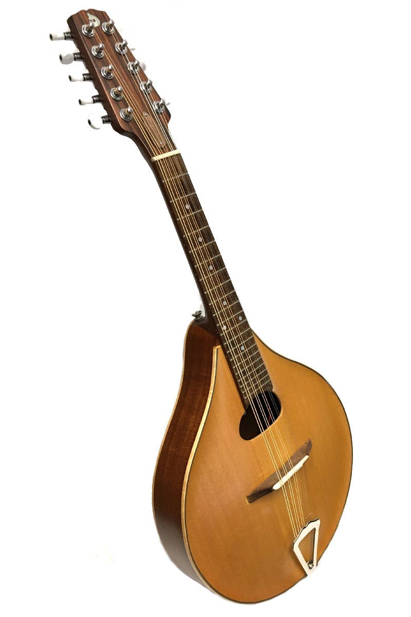 Cittern for store sale