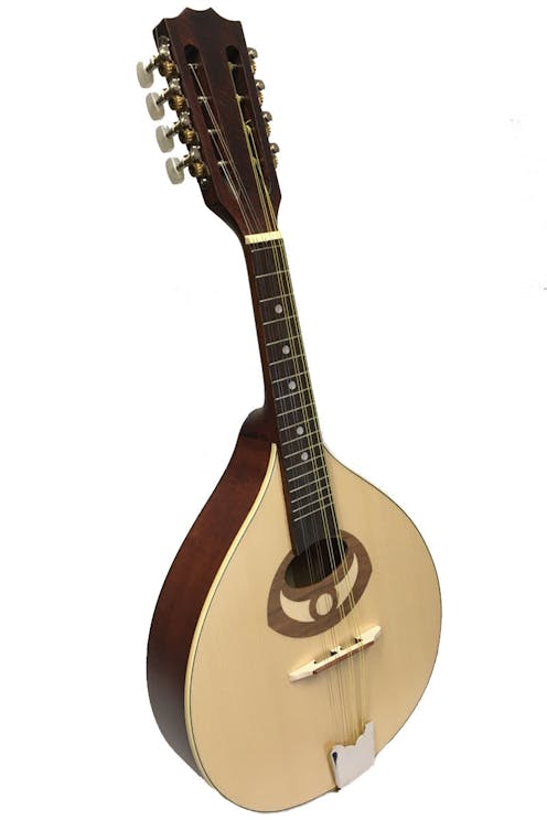 Ozark 2001 Mandolin Left Hand
