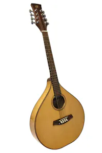 Buchanan Flat Top Octave Mandola - Bird Eye Maple