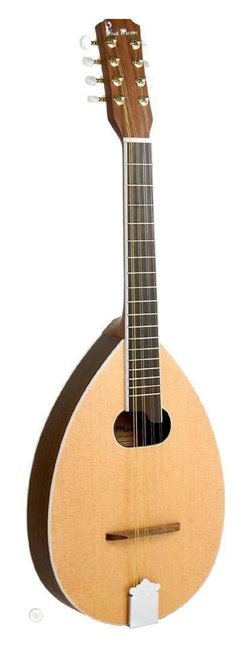 Blue Moon Tenor Mandolin - Used