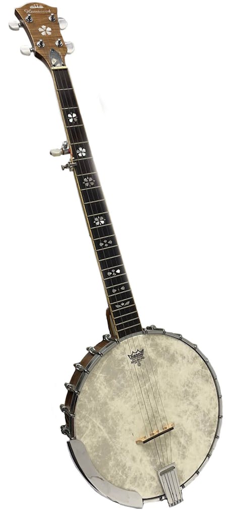 Heartwood 5 String Openback banjo - Commission Sale