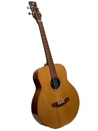Buchanan Tenor Guitar with Gig Bag - Commission Sale