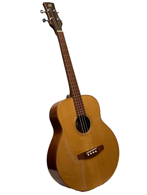 Buchanan Tenor Guitar with Gig Bag - Commission Sale