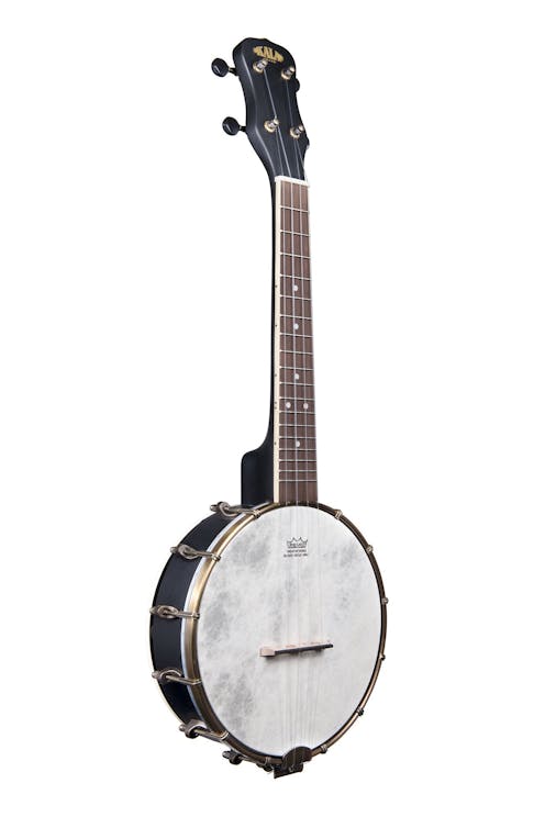 Kala Closed Back Concert Banjo Ukelele with Gigbag