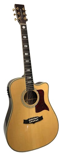 Tanglewood TW1000 HSRCE Dreadnought Cutaway Electro-Acoustic Guitar with Deluxe Hard Case - Commission Sale