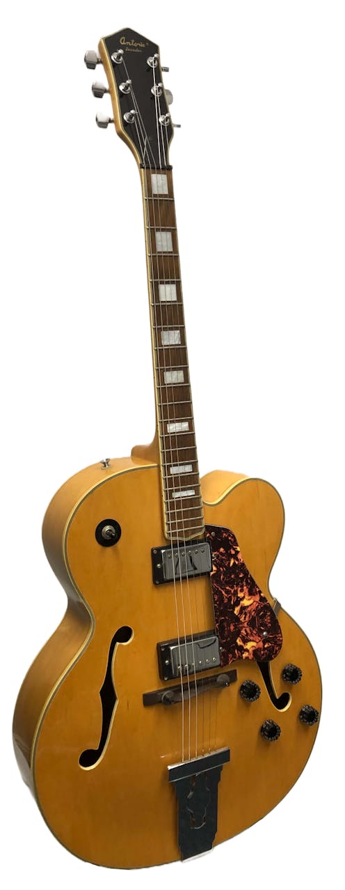 Antoria Jazzter Hollow Body Electric Guitar - Commission Sale