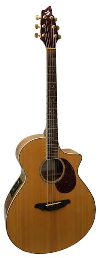 Breedlove AJ250-SF+ Jumbo Cutaway Electro-Acoustic Guitar with Deluxe Hard Case - Commission Sale