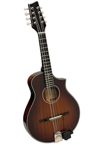 Tanglewood TSM M Mandolin Master Design by Michael Sanden with hard Case - Commission Sale