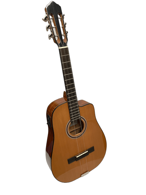 Thomann Tres Cubano Standard CCW with Semi Rigid Case