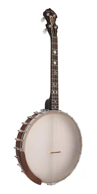 Gold Tone IT-17 Irish Tenor Banjo with 17 Frets and Gig Bag