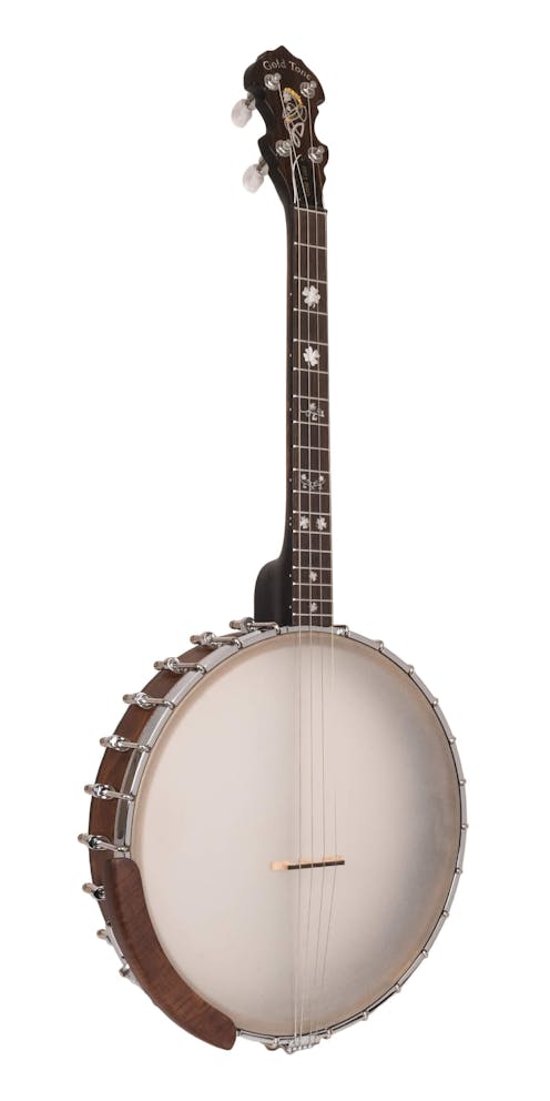 Gold Tone IT-17 Irish Tenor Banjo with 17 Frets and Gig Bag