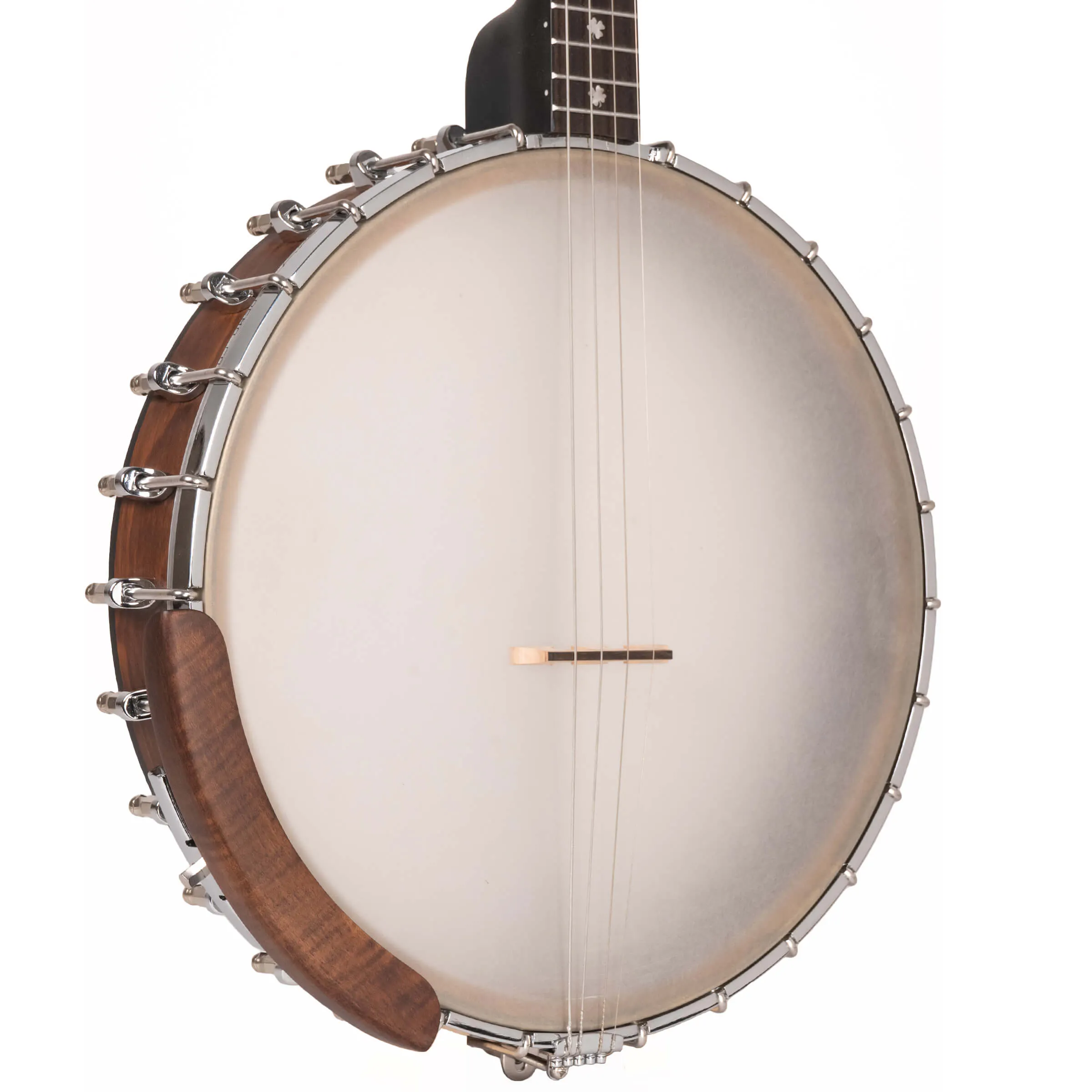 Gold Tone IT-19 Irish Tenor Banjo with 19 Frets and Gig Bag
