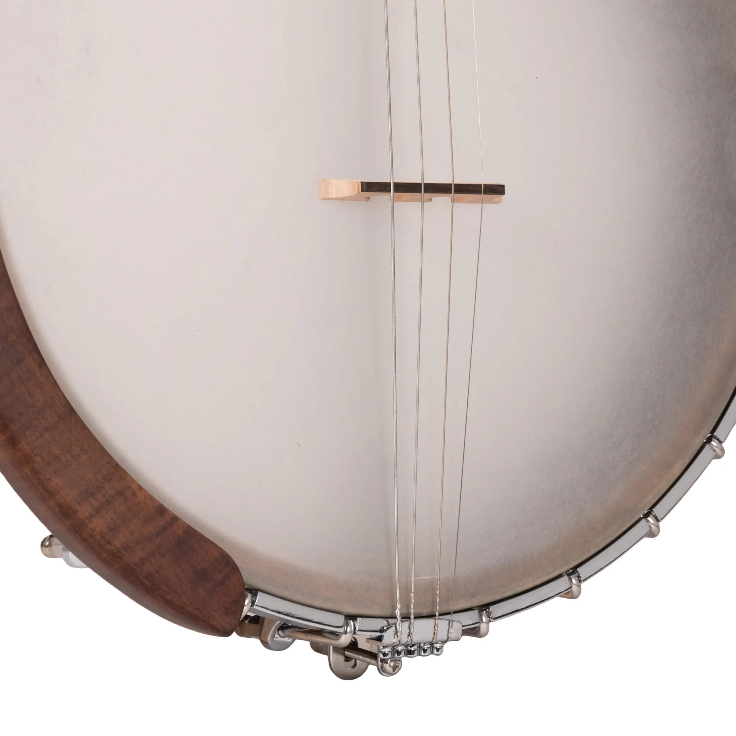 Gold Tone IT-19 Irish Tenor Banjo with 19 Frets and Gig Bag