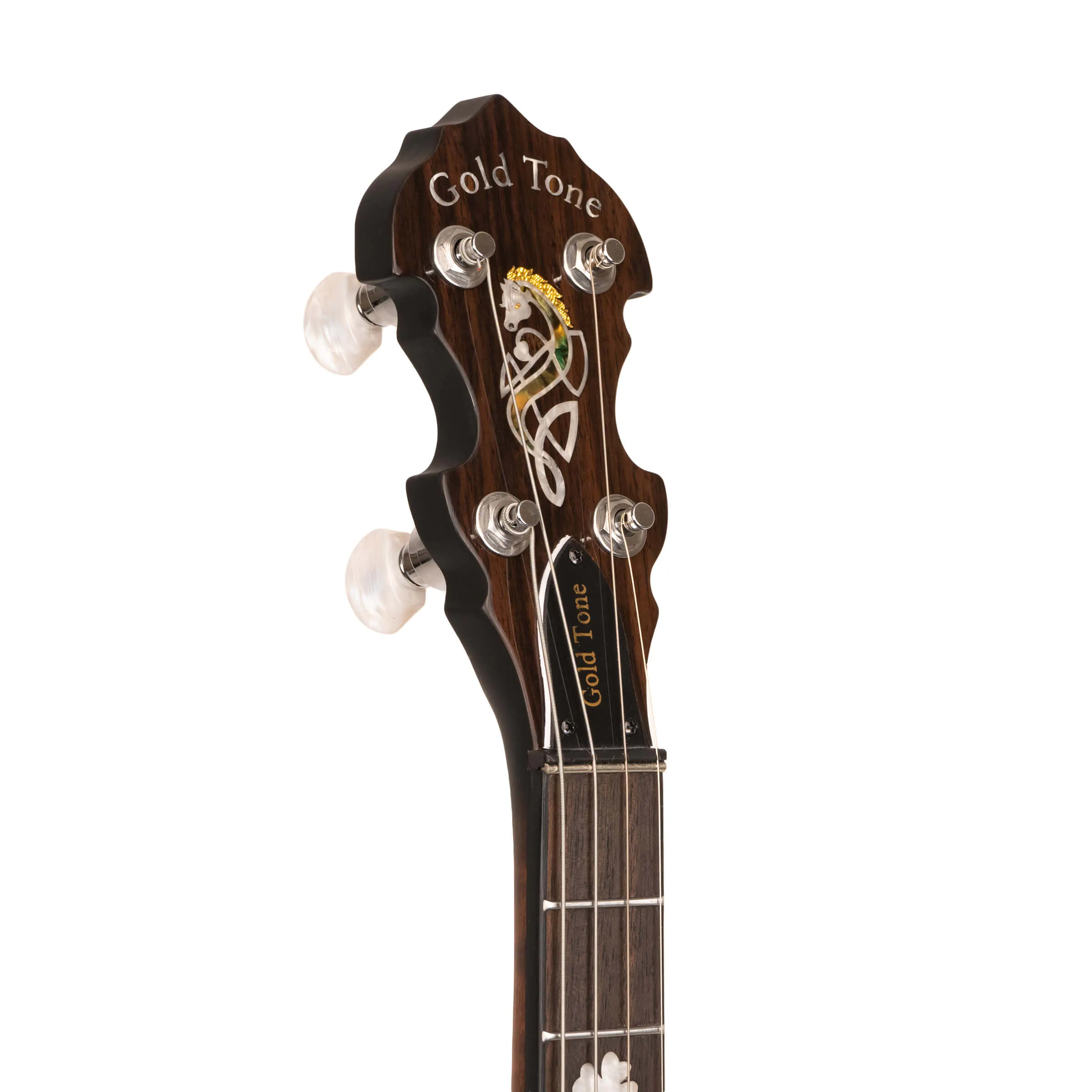 Gold Tone IT-19 Irish Tenor Banjo with 19 Frets and Gig Bag