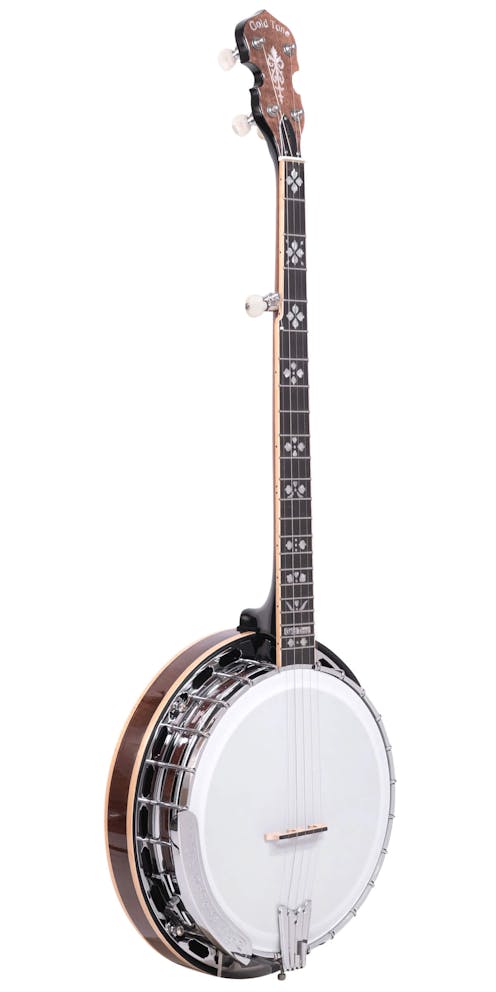 Gold Tone OB-250AT Orange Blossom Banjo Arch Top with Case