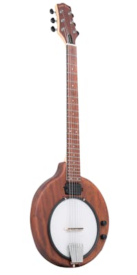 Gold Tone EB-6 Electric 6 String Banjo with Gig Bag