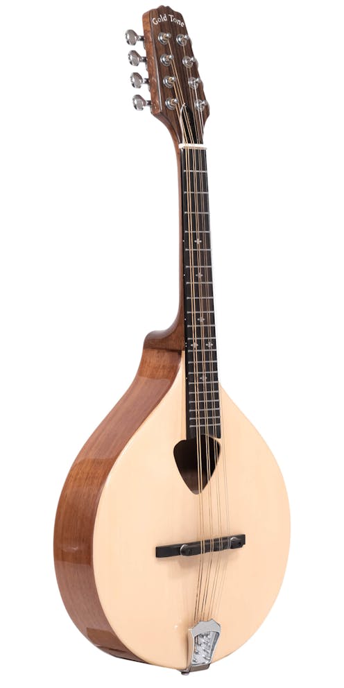 Gold Tone Mandola with Gig Bag