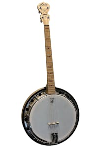 Deering Erin 'Celtic Star' Goodtime 2  20 Fret Tenor Banjo - Unique Model