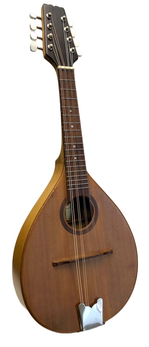 Paul Hathway Handmade A-Style Mandolin - Commission Sale
