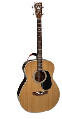 Blue Ridge BR-60T Tenor Guitar with Hard Case