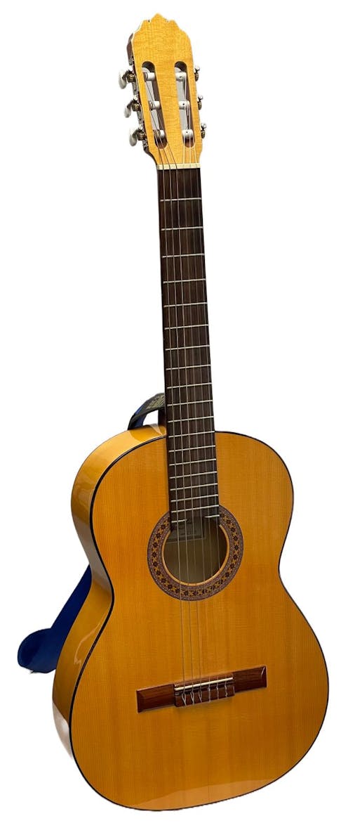 Joan Cashimira Flamenco Guitar with Gig Bag - Commission Sale