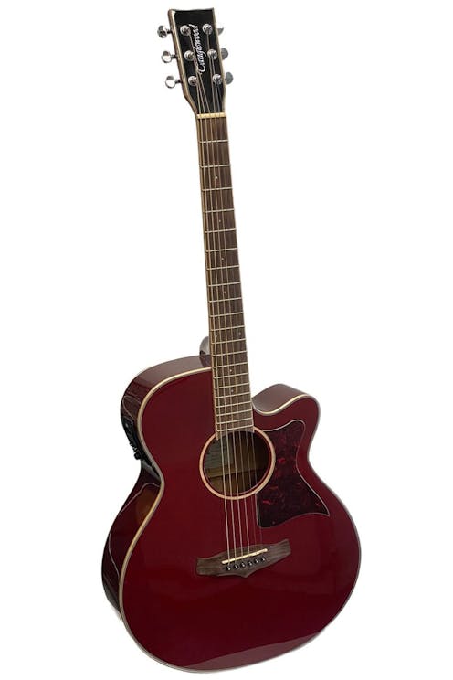 Tanglewood TW4 WR Winterleaf Super Folk Cutaway Electro-Acoustic Guitar with Gig Bag - Commission Sale