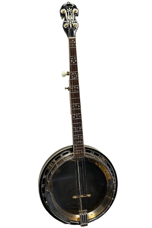 Ozark The Gold Laydie 2143G 5 String Resonator Banjo with Hard Case - Commission Sale