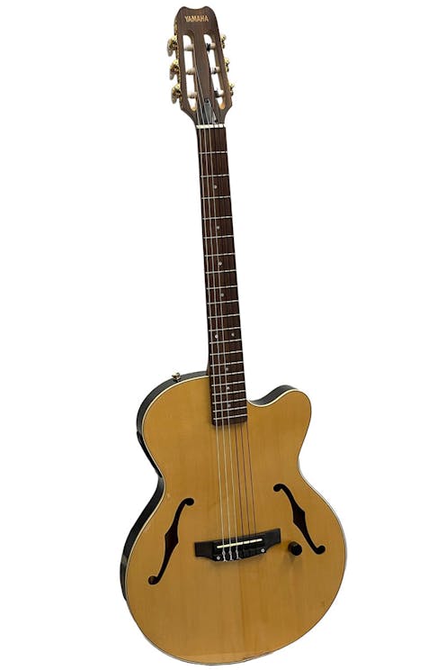 Yamaha AEX 500N Electro Acoustic Thinline Nylon Strung Guitar with Gig Bag - Commission Sale