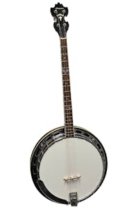 Chaser 19 Fret Tenor Banjo - Commission Sale