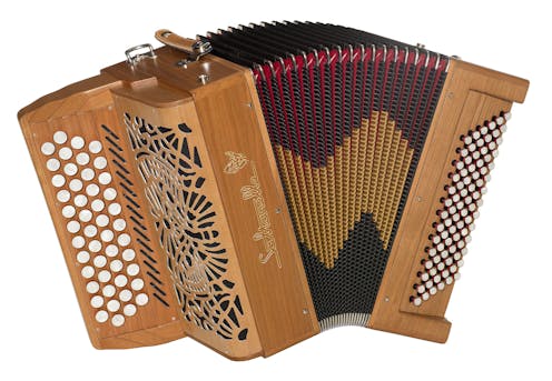 Saltarelle Bourroche 4R