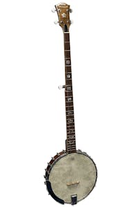 Heartwood CA5DX 5 String Long Neck Openback banjo - Commission Sale