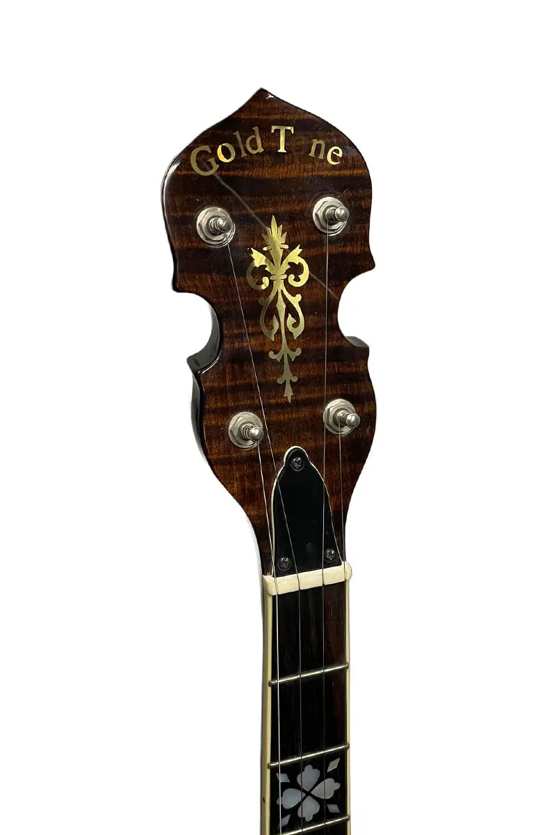 Gold Tone OB-250-AT Archtop 5-String Banjo with Hard Case