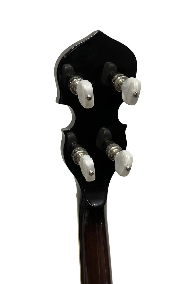 Gold Tone OB-250-AT Archtop 5-String Banjo with Hard Case