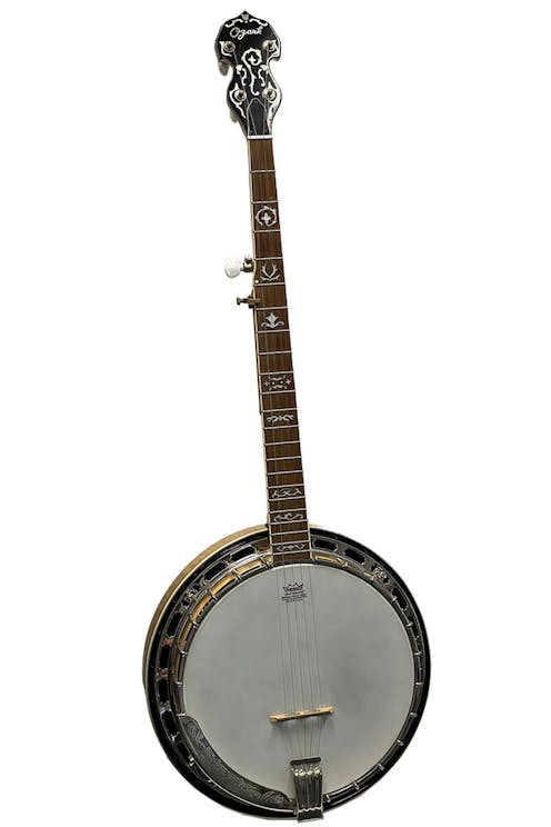 Ozark 2141G 5-String Banjo - Commission Sale