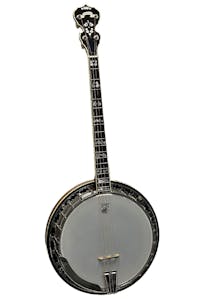 Deering Calico 19 Fret Tenor Banjo with Case - Commission Sale