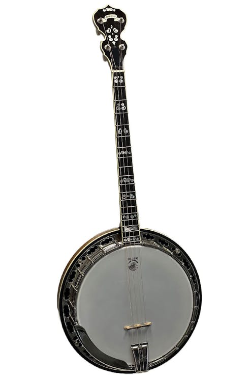 Deering Calico 19 Fret Tenor Banjo with Case - Commission Sale