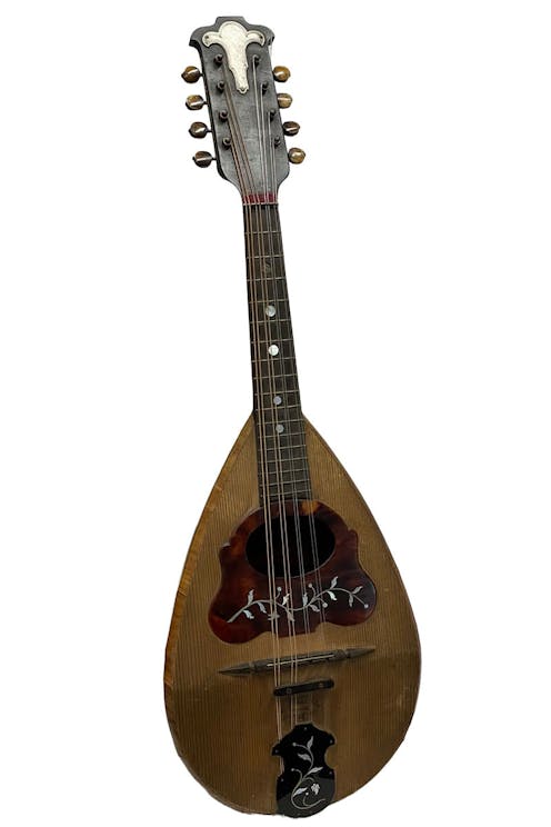 Leonore Paloma Neapolitan Mandolin - Commission Sale