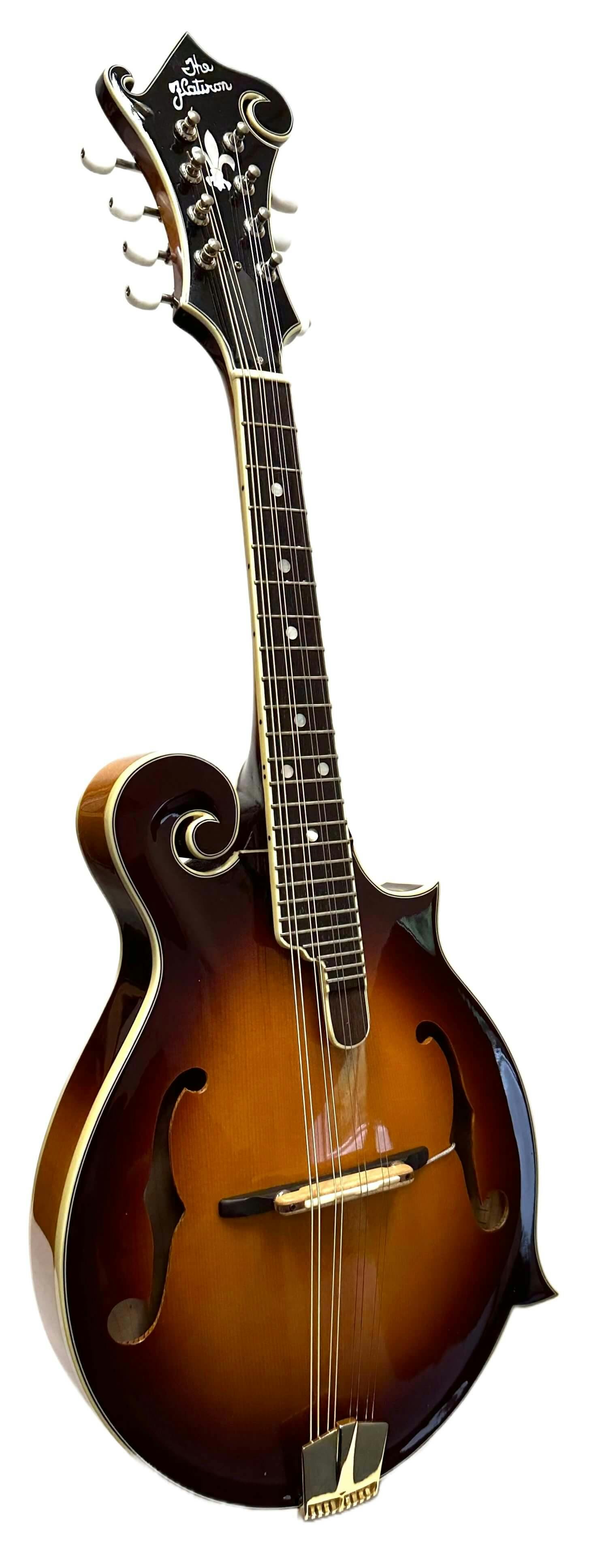 The Flatiron 2011 F-Festival Electro-Acoustic Mandolin - Commission Sale