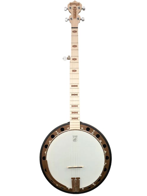 Deering Goodtime Special Deco 5 String Resonator Banjo