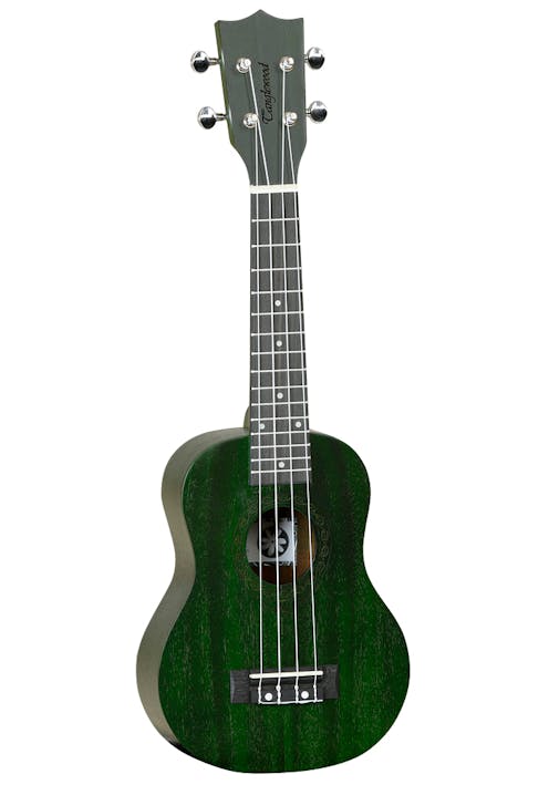 Tanglewood TWT1 FG Forest Green Satin Soprano Ukulele [duplicate]